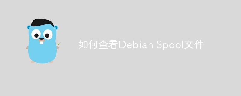 DebianSpool文件查看技巧及方法