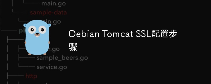 Debian上给Tomcat配置SSL，超详细教程来了！