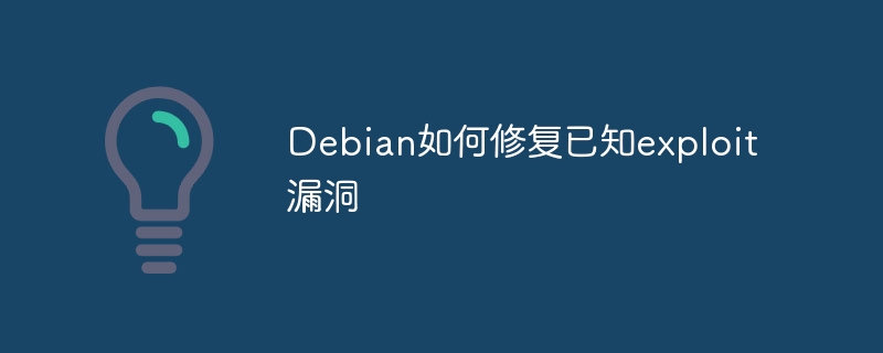 Debian系统漏洞修复大揭秘：实用exp技巧分享
