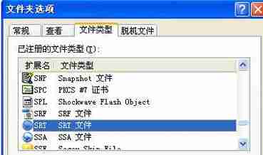 什么是srt文件?