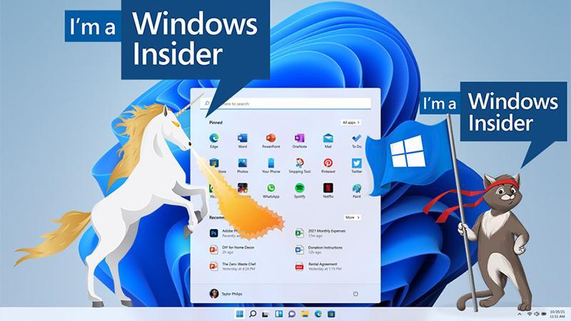 Win11新预览版23580推送：Copilot本地账号功能上线，文件共享速度暴增！