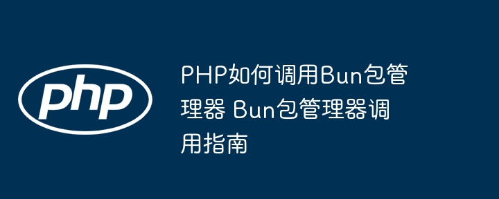 PHP怎么调用Bun包管理器？手把手教学