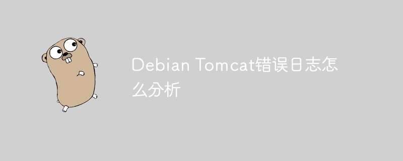 手把手教你解读Debian中Tomcat错误日志