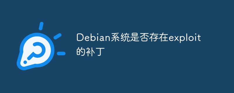 Debian系统补丁更新与漏洞修复方法