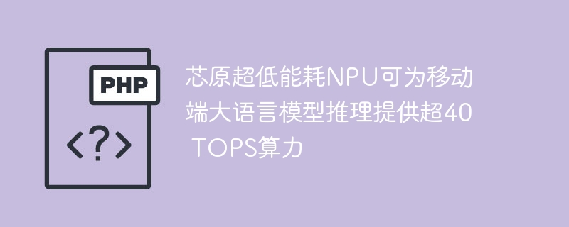 芯原NPU低功耗，支持大模型推理