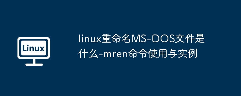 Linux下用mren重命名DOS文件技巧