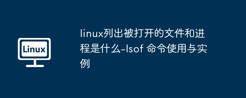 lsof命令查看进程与文件详解
