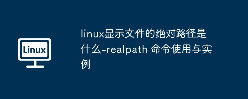 realpath命令使用教程与实例解析