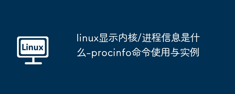 procinfo命令使用教程与实例解析