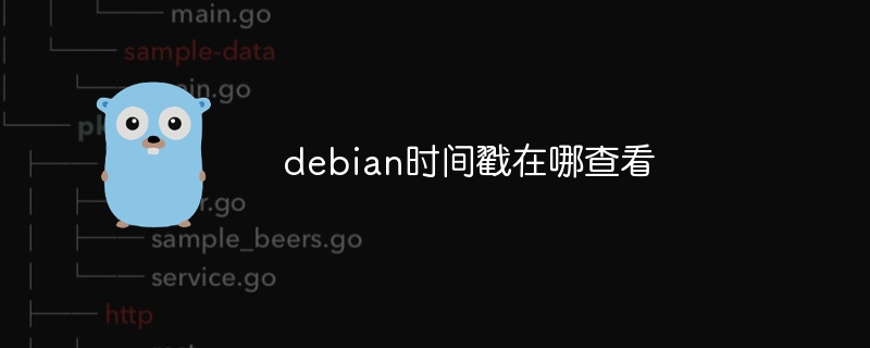 Debian系统时间戳查看教程