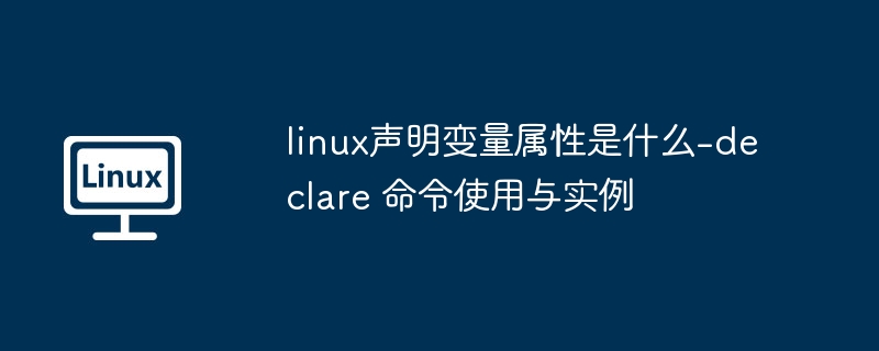 Linuxdeclare命令用法及实例详解