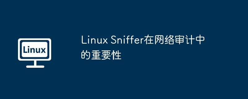 LinuxSniffer在安全检测中的应用价值