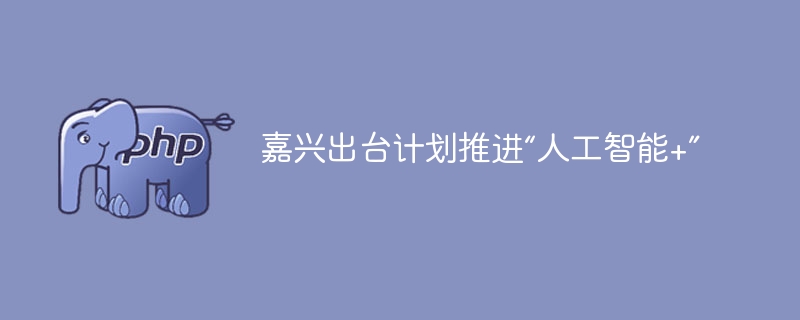 嘉兴出台计划推进“人工智能+”