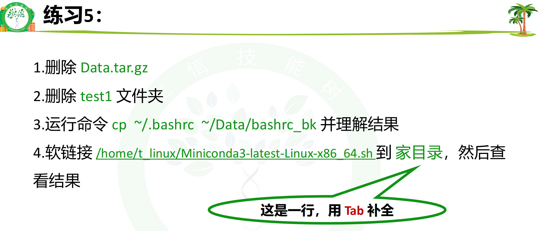 Linux 零基础入门 DAY12