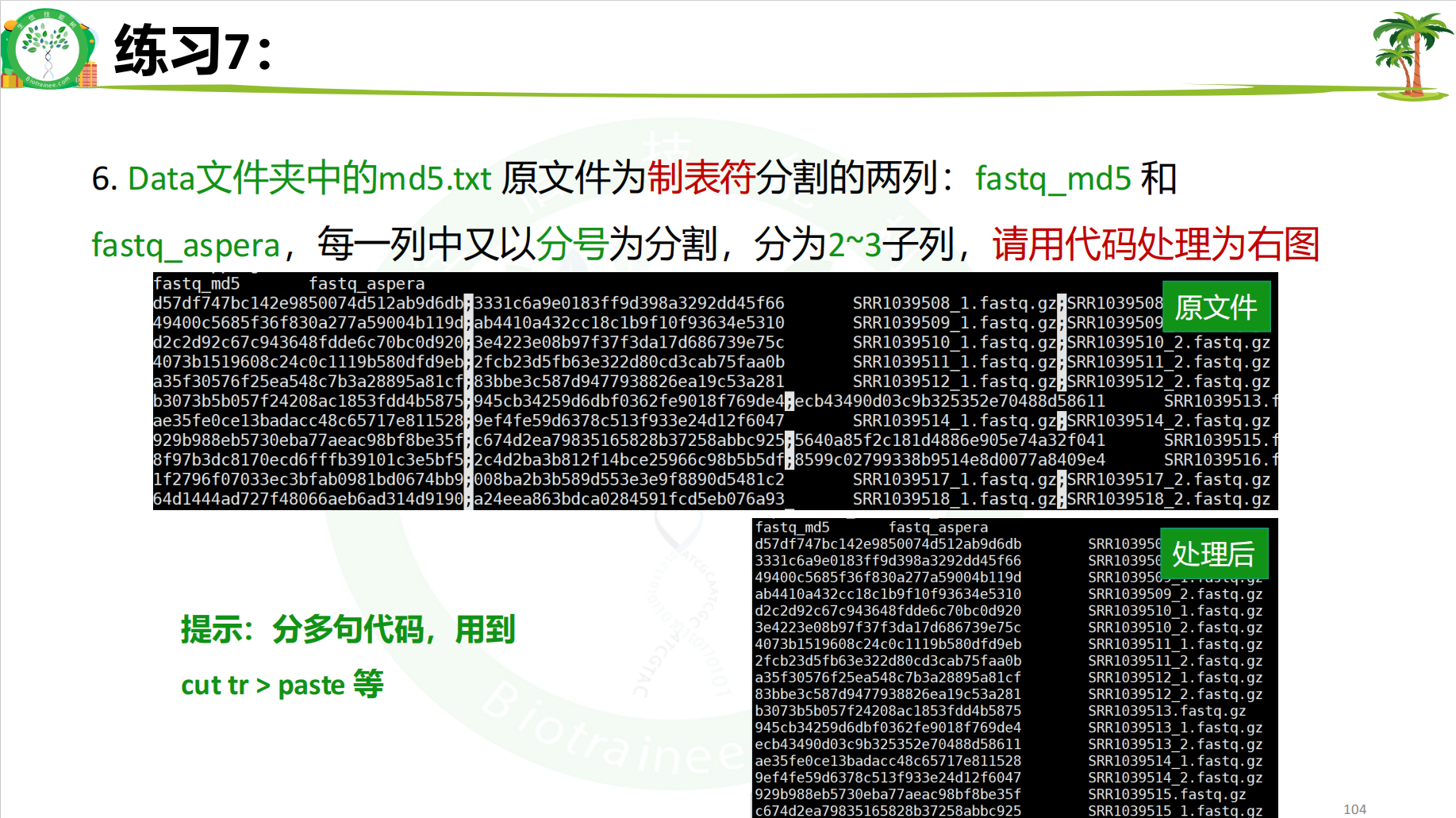 Linux 零基础入门 DAY12