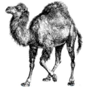 Simple Perl