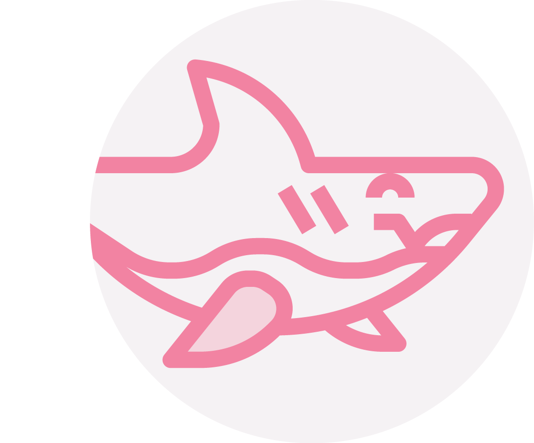 Light Pink Theme