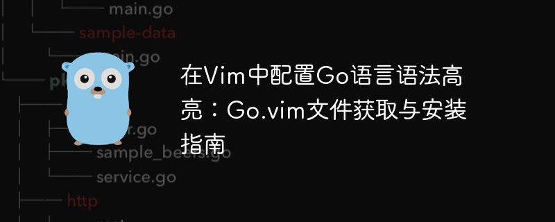 Vim配置Go高亮:Go.vim安装教程