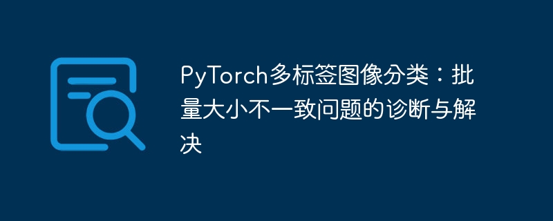 PyTorch多标签分类:批量大小不一致处理方法