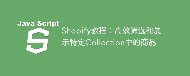 Shopify教程：高效筛选和展示特定Collection中的商品