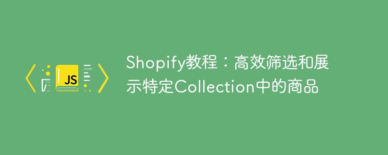 Shopify教程:如何筛选展示特定商品