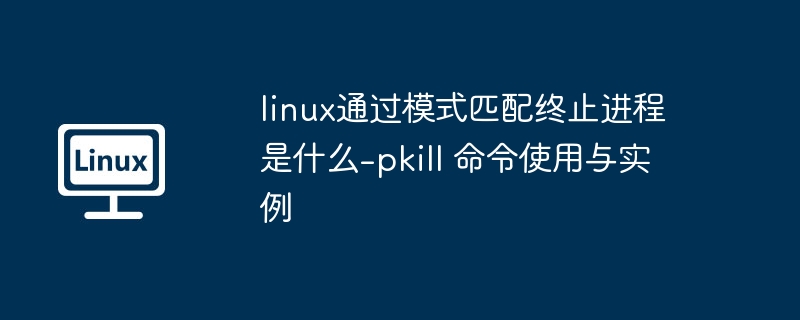 Linux中pkill命令终止进程用法详解