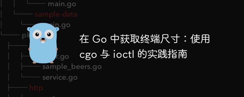 Go获取终端大小:cgo与ioctl实战教程