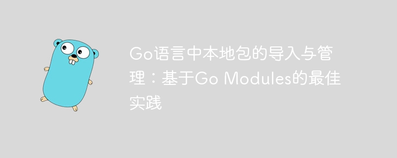 Go本地包导入技巧与实践指南