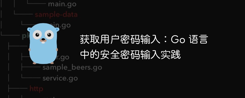 获取用户密码输入：Go 语言中的安全密码输入实践