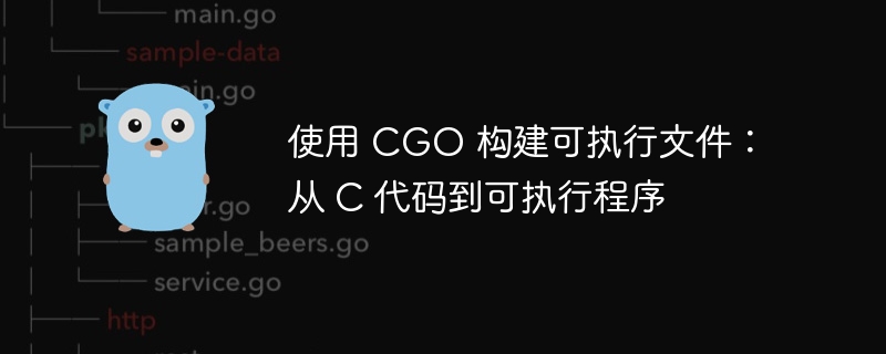 CGO编译C代码生成可执行文件指南