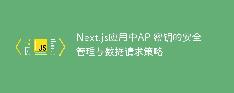 Next.jsAPI密钥安全与数据请求技巧