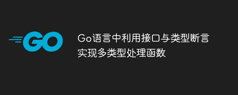 Go语言接口类型断言多类型处理全解析