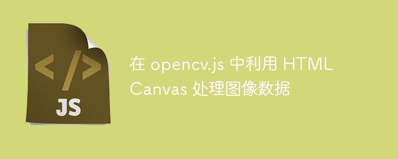 OpenCV.js图像处理教程：Canvas实战指南