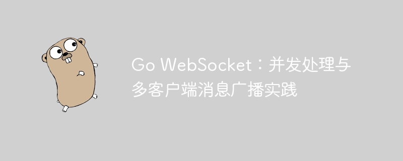 GoWebSocket：并发与多客户端消息广播教程