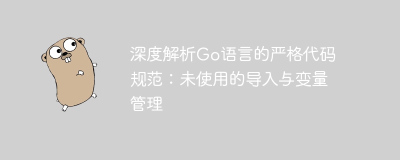 Go代码规范：如何清理未使用导入和变量