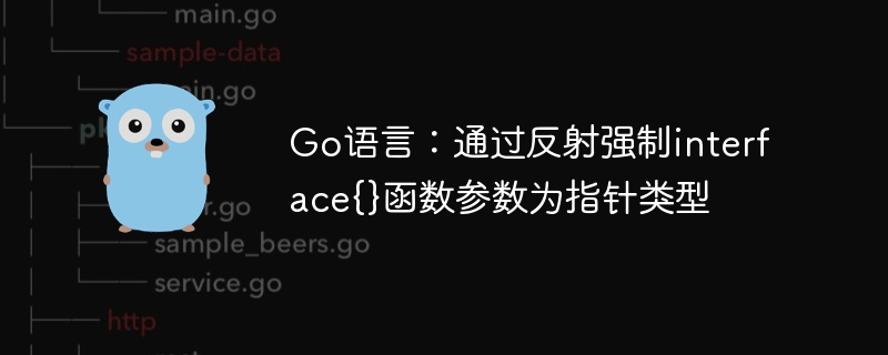 Go语言：通过反射强制interface{}函数参数为指针类型
