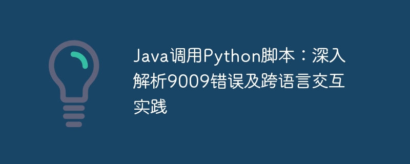 Java调用Python脚本：深入解析9009错误及跨语言交互实践