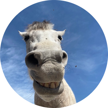 HinnyCoder