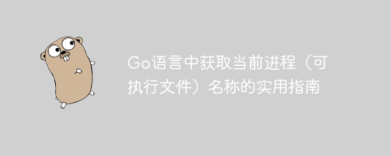 Go获取当前进程名称的几种方法