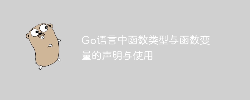 Go语言函数声明与类型解析