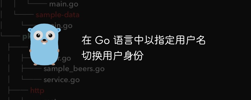 在 Go 语言中以指定用户名切换用户身份