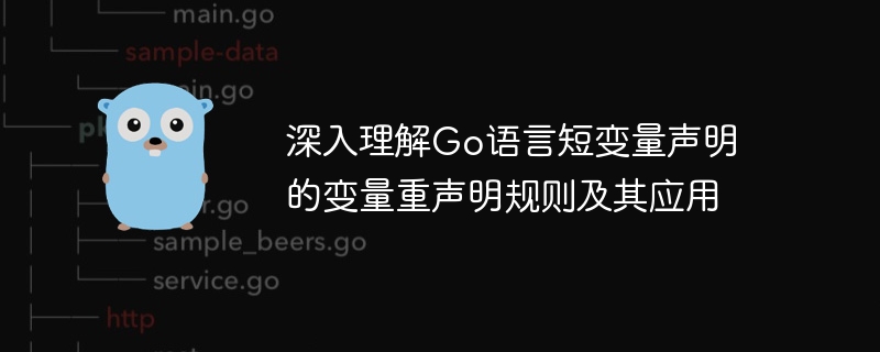 Go语言短变量声明重声明规则解析