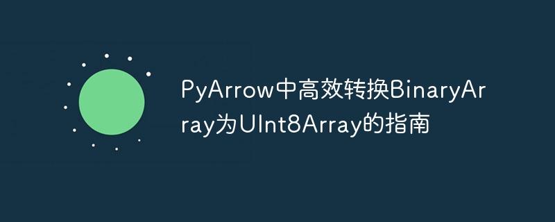 PyArrow快速转换二进制为UInt8技巧