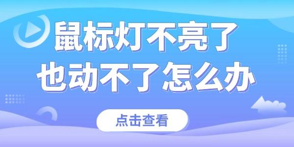 鼠标灯不亮怎么处理？快速排查指南