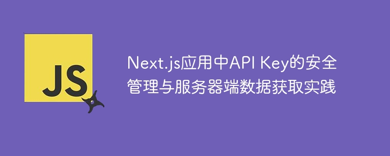 Next.jsAPI密钥安全与数据获取技巧
