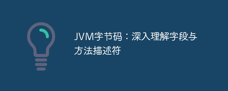 JVM字节码：深入理解字段与方法描述符
