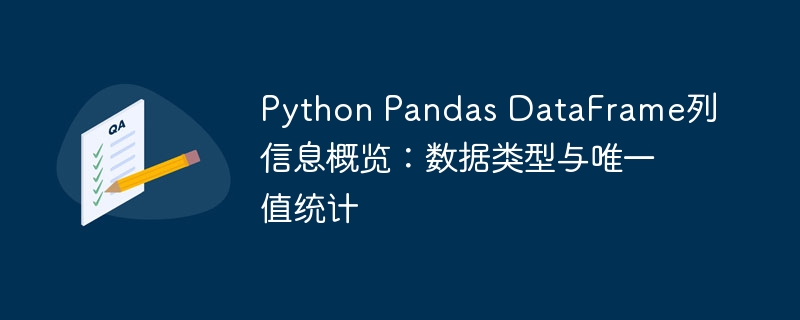 Pandas列统计：类型与唯一值分析指南