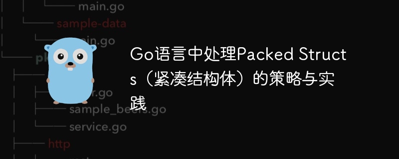 Go语言中处理Packed Structs（紧凑结构体）的策略与实践