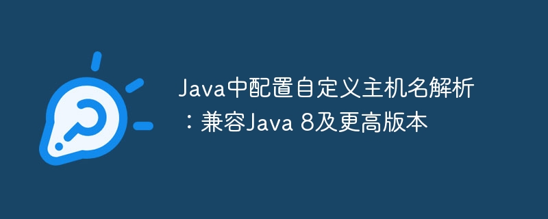 Java中配置自定义主机名解析：兼容Java 8及更高版本
