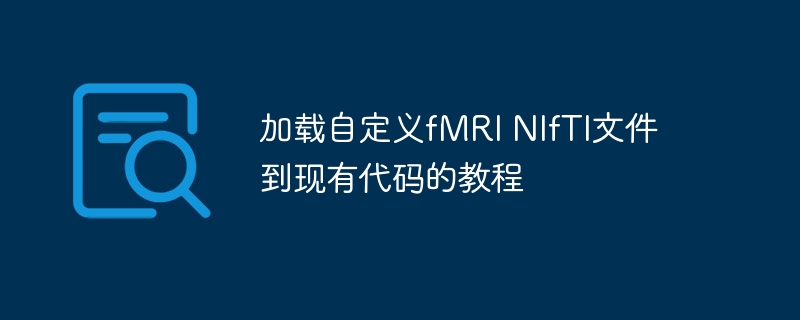 自定义fMRINIfTI加载教程详解